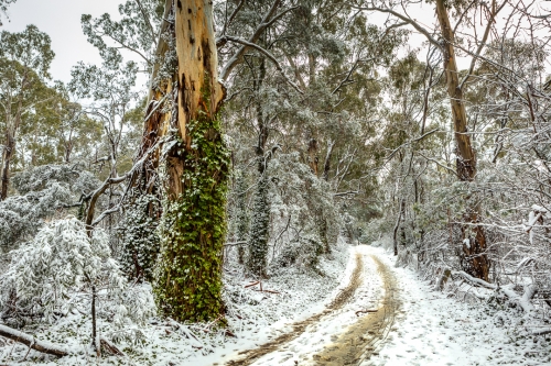 Pinnacle Reserve